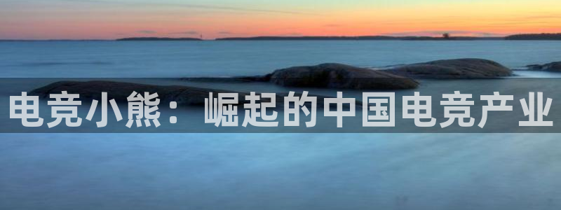 泛亚电竞和im电竞的区别：电竞小熊：崛起的中国电竞产业