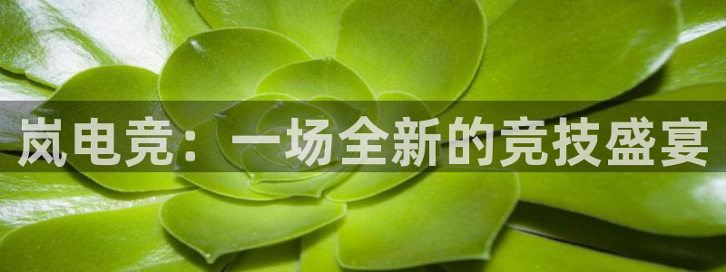泛亚电竞是什么