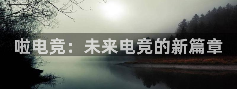 泛亚电竞平：啦电竞：未来电竞的新篇章