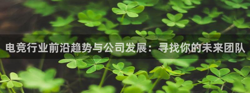 泛亚电竞平台官方最新版：电竞行业前沿趋势与公司发展：寻找你的未来团队