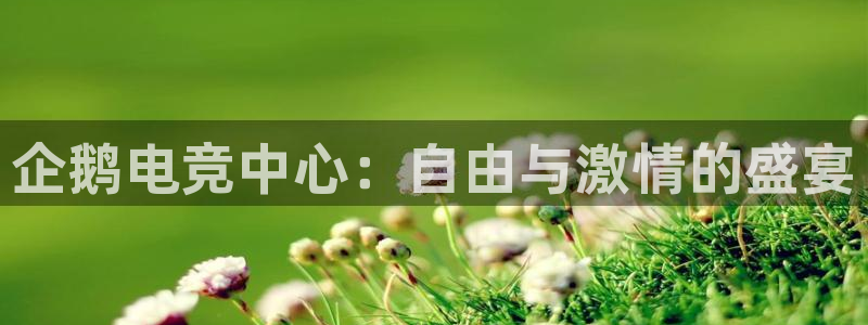 泛亚电竞入口：企鹅电竞中心：自由与激情的盛宴