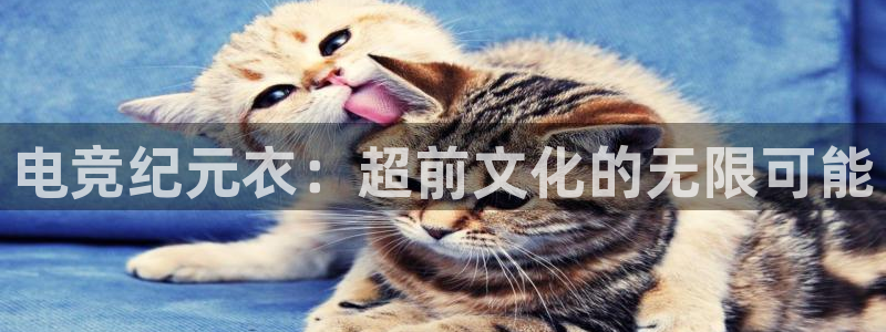 泛亚电竞入口：电竞纪元衣：超前文化的无限可能