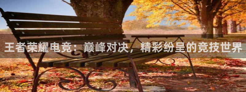 泛亚电竞最新版：王者荣耀电竞：巅峰对决，精彩纷呈的竞技世界