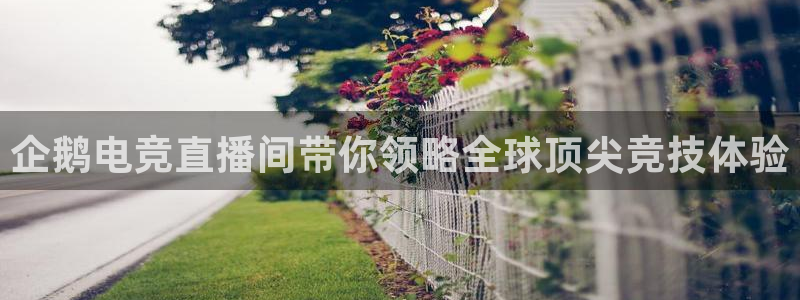下载泛亚电竞app：企鹅电竞直播间带你领略全球顶尖竞技体验