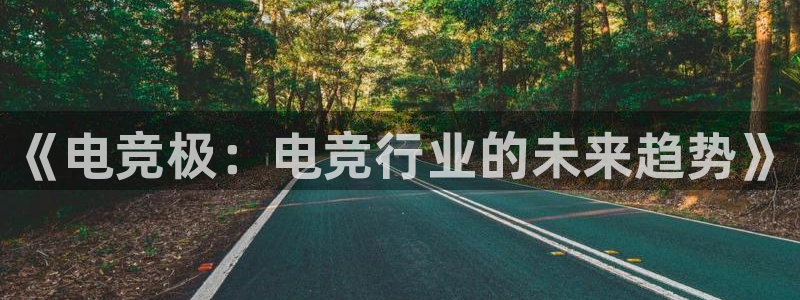 泛亚电竞比赛：《电竞极：电竞行业的未来趋势》