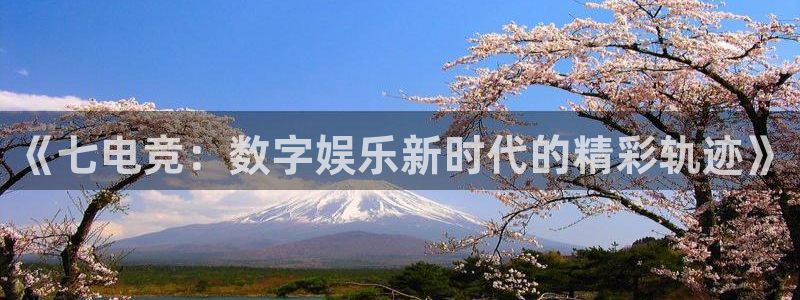 有泛亚电竞的平台：《七电竞：数字娱乐新时代的精彩轨迹》