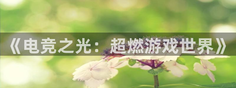 泛亚电竞对刷