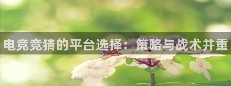 2021泛亚电竞网址
