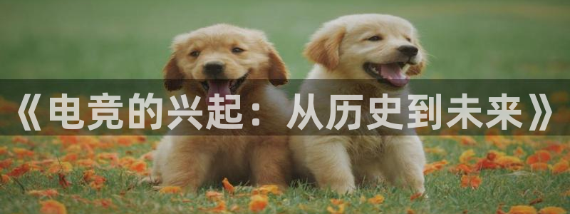 2021泛亚电竞网址：《电竞的兴起：从历史到未来》