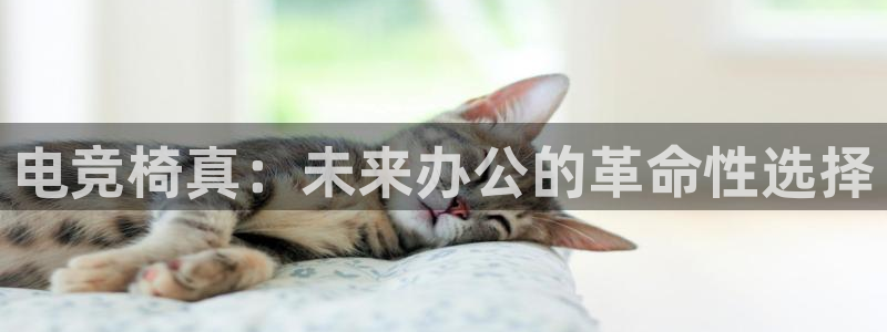 泛亚电竞手机版下载：电竞椅真：未来办公的革命性选择